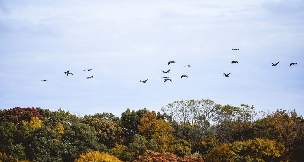 Administration of estates in Rochdale