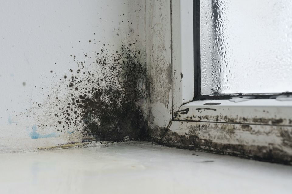 What Compensation Can You Get for a Housing Disrepair Claim