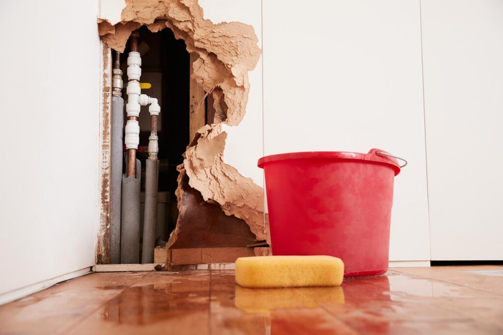 Water Leak and Plumbing Disrepair Claims